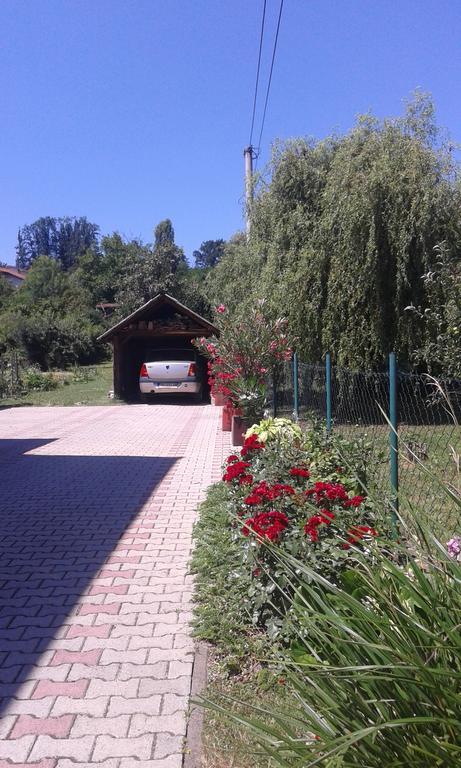 Apartman Andelina Vrnjacka Banja Exterior photo