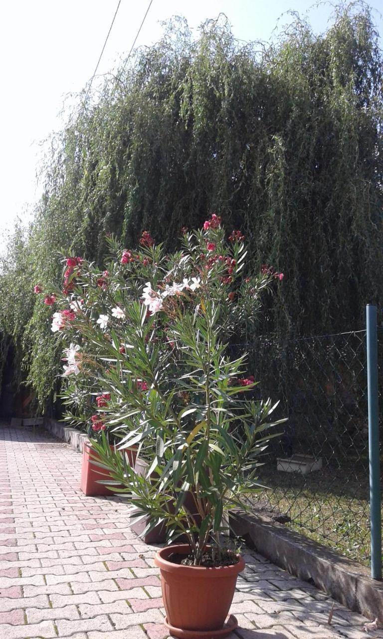 Apartman Andelina Vrnjacka Banja Exterior photo